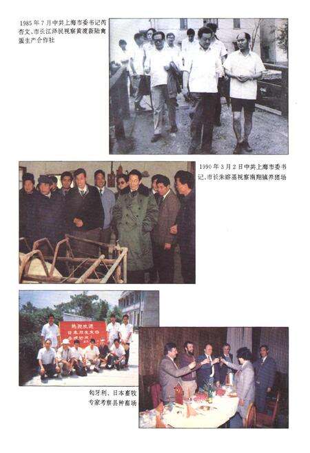 《嘉定县畜牧水产局志》.pdf电子版_上海市志预览图4