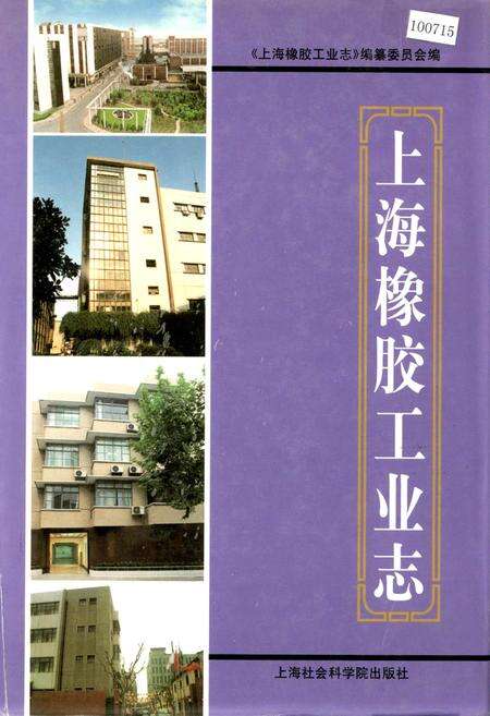 《上海橡胶工业志》.pdf电子版_上海市志缩略图