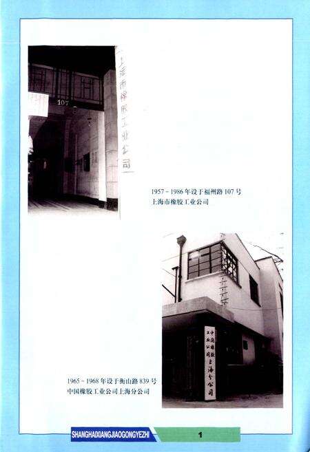 《上海橡胶工业志》.pdf电子版_上海市志预览图3