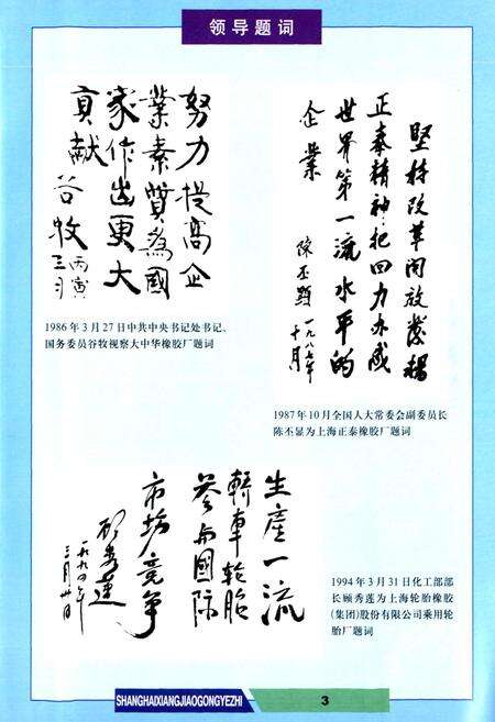 《上海橡胶工业志》.pdf电子版_上海市志预览图5