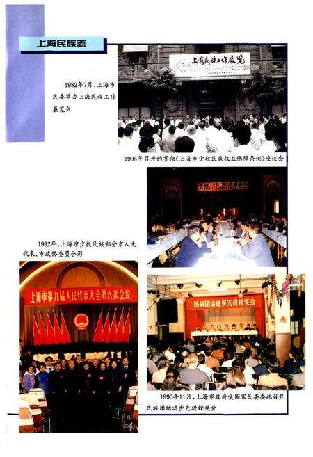 《上海民族志》.pdf电子版_上海市志预览图5