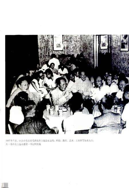 《中共上海党志》.pdf电子版_上海市志预览图3