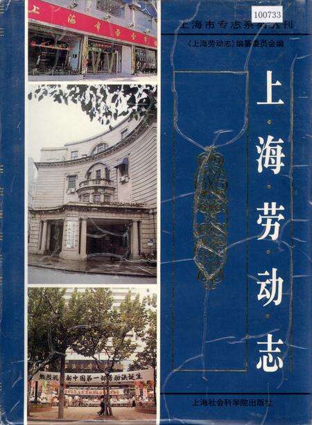 《上海劳动志》.pdf电子版_上海市志缩略图