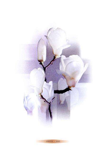 《上海人民政府志》.pdf电子版_上海市志预览图3