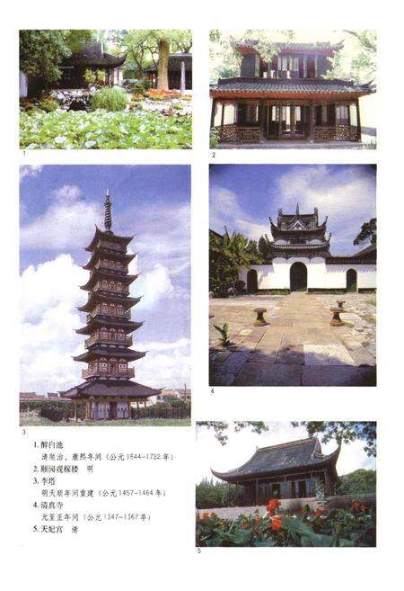 《松江文化志》.pdf电子版_上海市志预览图5