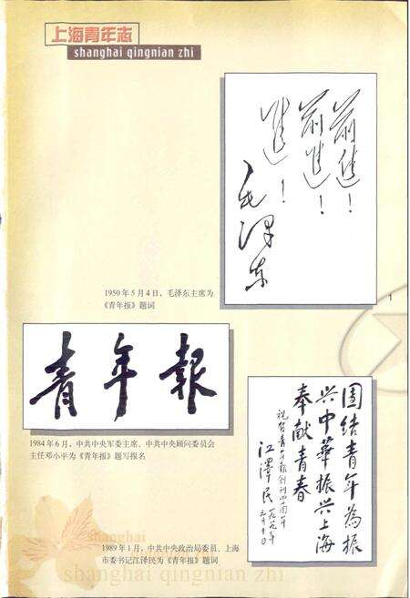 《上海青年志》.pdf电子版_上海市志预览图3
