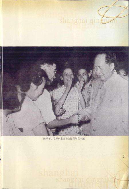 《上海青年志》.pdf电子版_上海市志预览图5