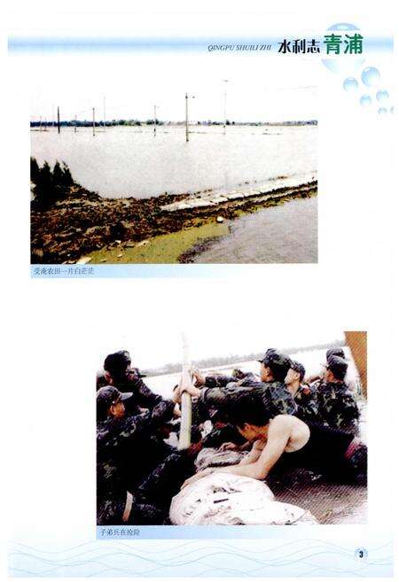 《青浦水利志》.pdf电子版_上海市志预览图5