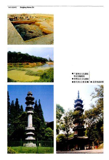 《松江文物志》.pdf电子版_上海市志预览图3