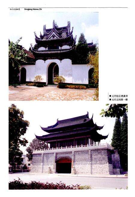 《松江文物志》.pdf电子版_上海市志预览图5