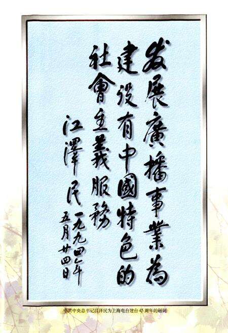 《上海广播电视志》.pdf电子版_上海市志预览图5