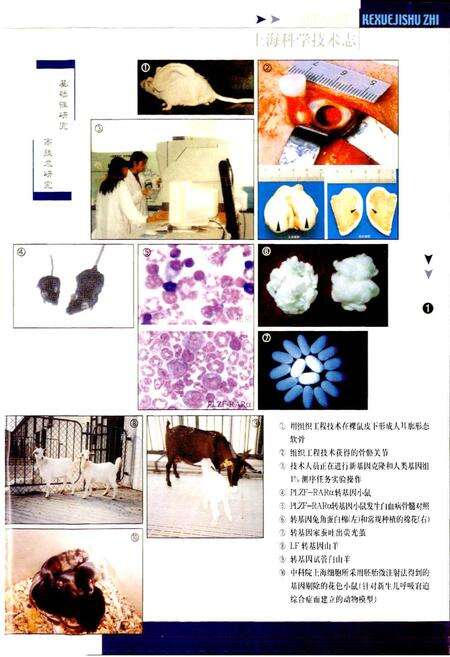《上海科学技术志》.pdf电子版_上海市志预览图3