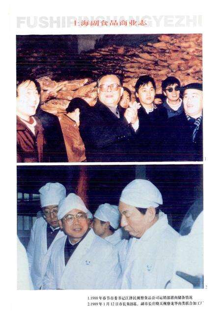 《上海副食品商业志》.pdf电子版_上海市志预览图3