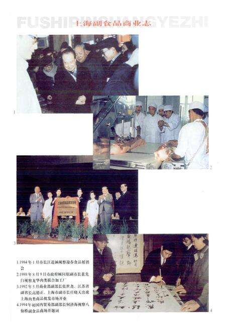 《上海副食品商业志》.pdf电子版_上海市志预览图5
