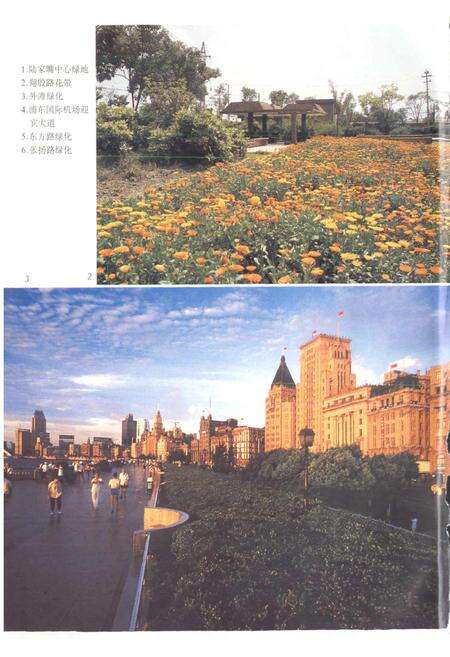 《上海园林志》.pdf电子版_上海市志预览图3