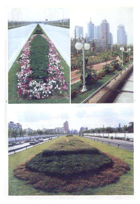 《上海园林志》.pdf电子版_上海市志预览图4