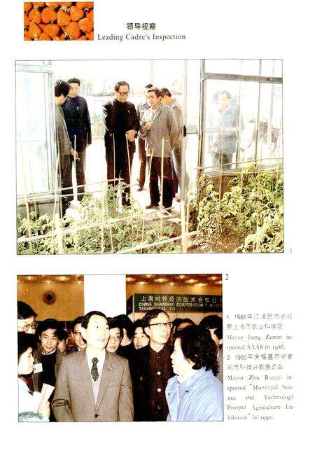 《上海农业科研志》.pdf电子版_上海市志预览图4