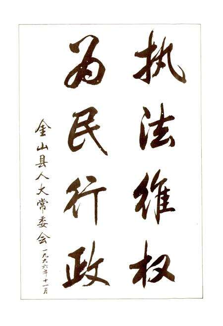 《金山县民政志》.pdf电子版_上海市志预览图5