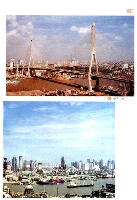 《上海勘察设计志》.pdf电子版_上海市志预览图5