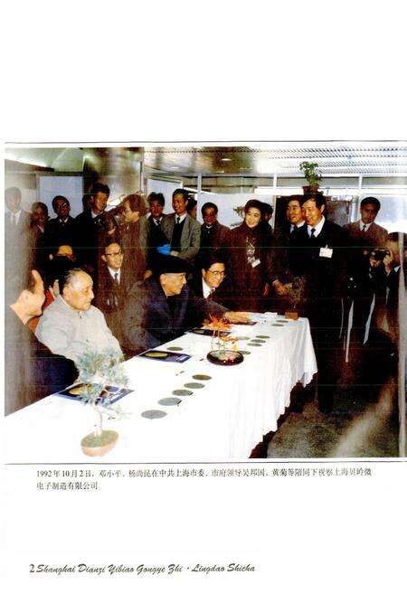 《上海电子仪表工业志》.pdf电子版_上海市志预览图4