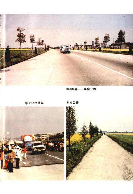 《金山县建设志》.pdf电子版_上海市志预览图5