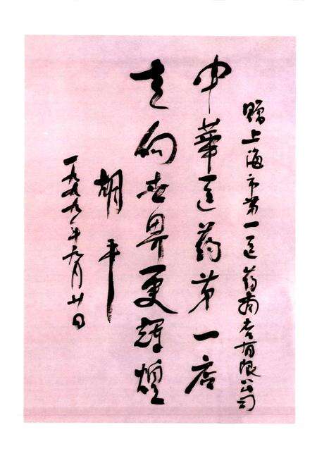 《上海市第一医药商店店志》.pdf电子版_上海市志预览图2