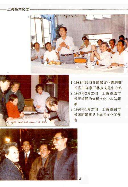 《上海县文化志》.pdf电子版_上海市志预览图4