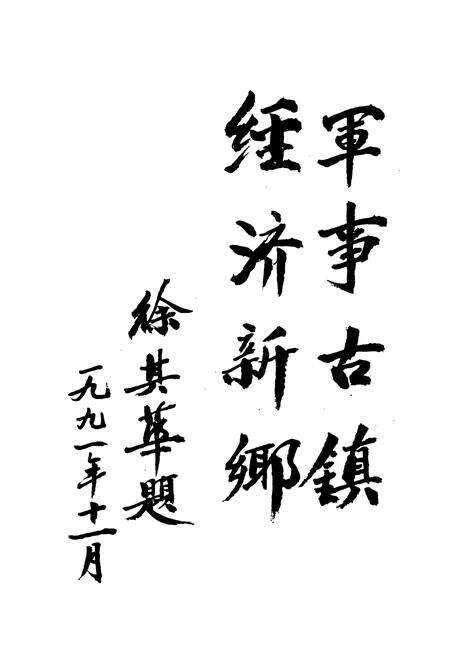 《金卫志》.pdf电子版_上海市志预览图2