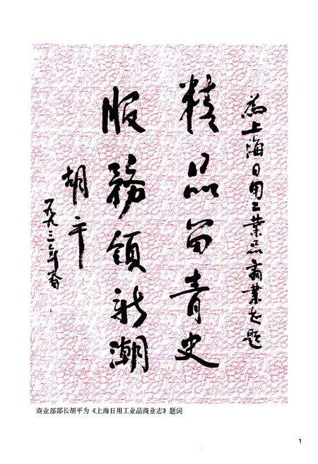 《上海日用工业品商业志》.pdf电子版_上海市志预览图2