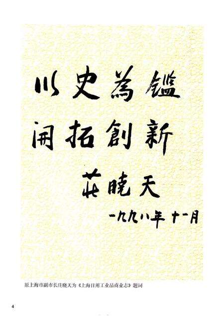 《上海日用工业品商业志》.pdf电子版_上海市志预览图5