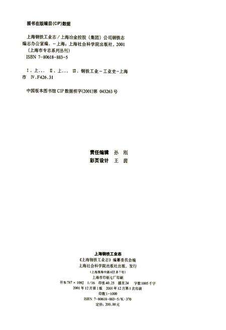 《上海钢铁工业志》.pdf电子版_上海市志预览图2
