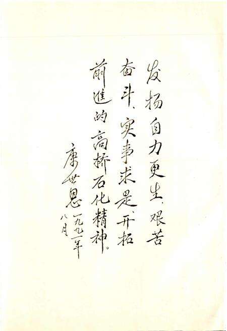 《上海高桥石化志》.pdf电子版_上海市志预览图4