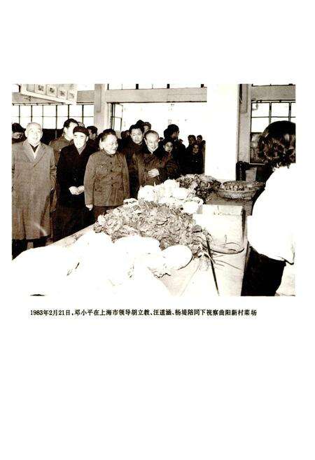 《上海工商行政管理志》.pdf电子版_上海市志预览图5