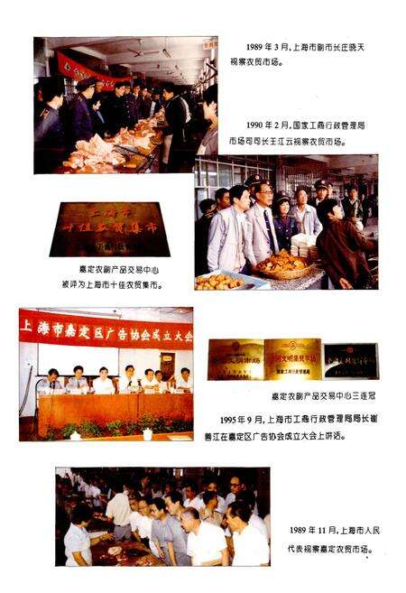 《嘉定县工商行政管理志》.pdf电子版_上海市志预览图5