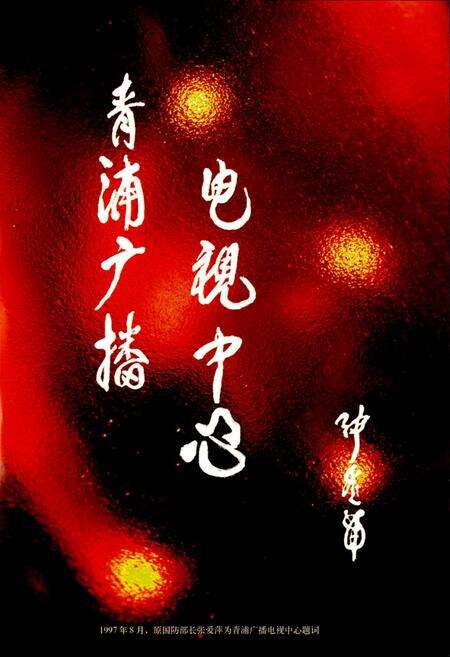 《青浦广播电视志》.pdf电子版_上海市志预览图3