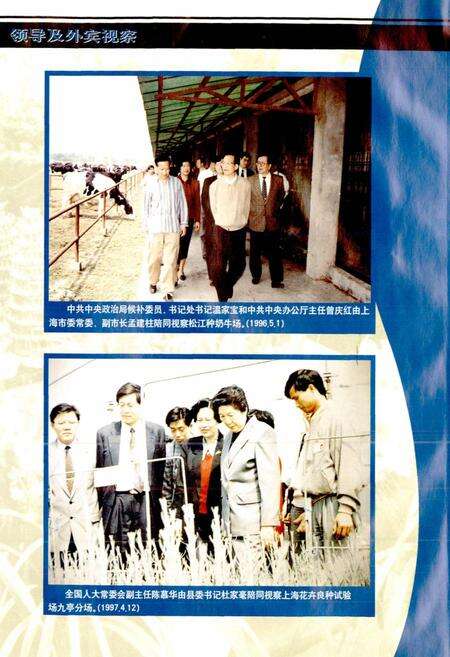 《松江科技志》.pdf电子版_上海市志预览图3