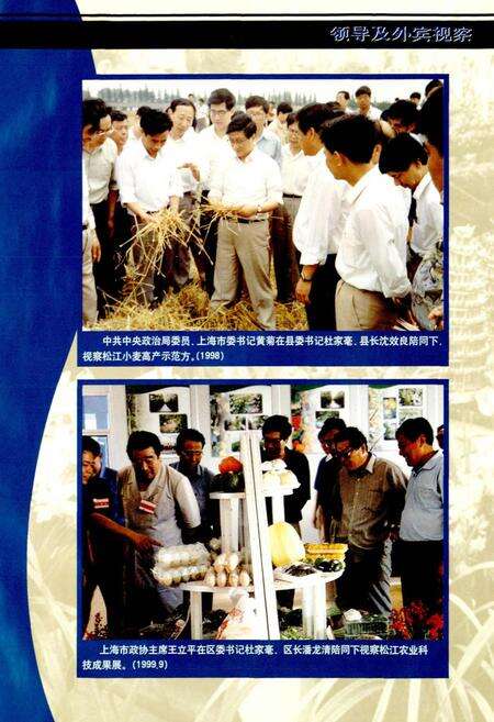 《松江科技志》.pdf电子版_上海市志预览图4