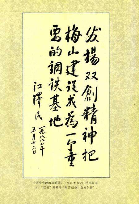 《梅山冶金公司志》.pdf电子版_上海市志预览图5