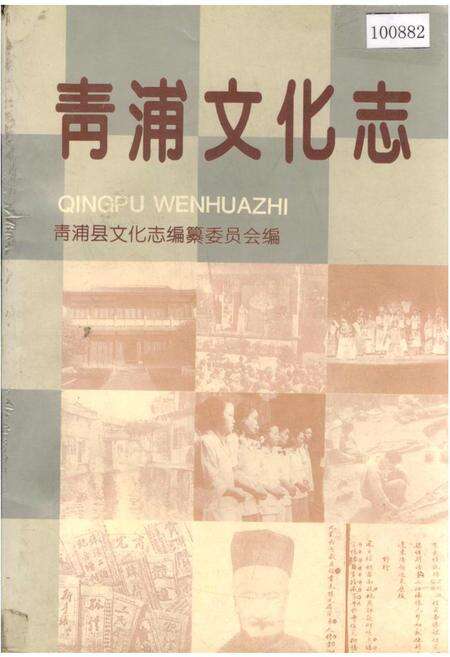 《青浦文化志》.pdf电子版_上海市志缩略图