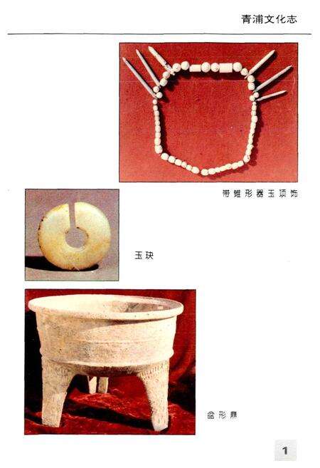 《青浦文化志》.pdf电子版_上海市志预览图3