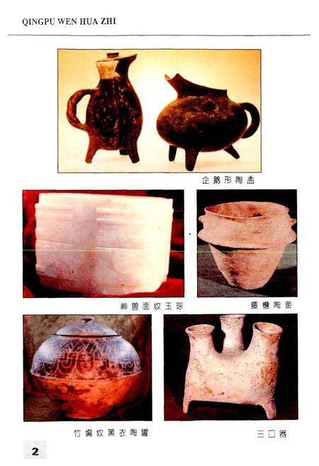 《青浦文化志》.pdf电子版_上海市志预览图4