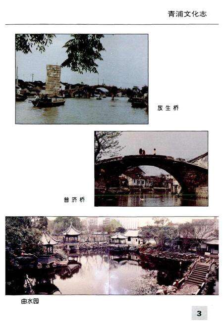 《青浦文化志》.pdf电子版_上海市志预览图5