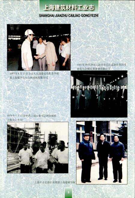 《上海建筑材料工业志》.pdf电子版_上海市志预览图5