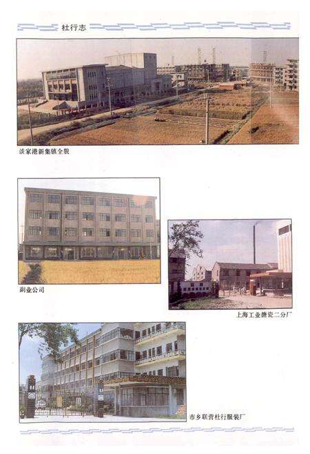 《杜行志》.pdf电子版_上海市志预览图4