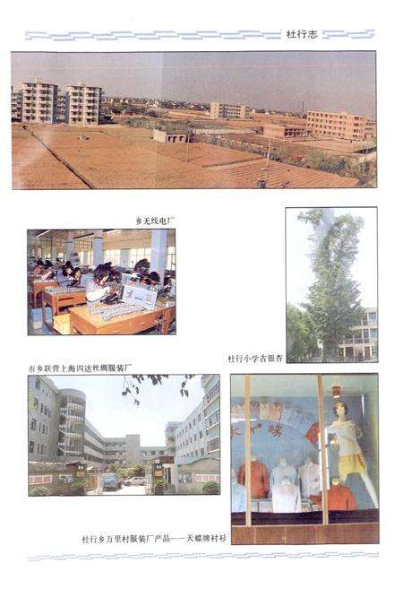 《杜行志》.pdf电子版_上海市志预览图5