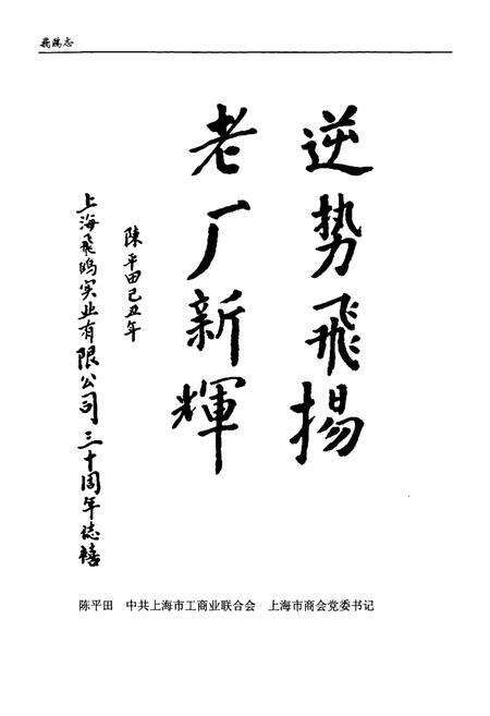 《飞鸥志(1979.9-2009.8)》.pdf电子版_上海市志预览图2