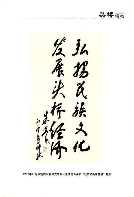 《头桥续志》.pdf电子版_上海市志预览图2