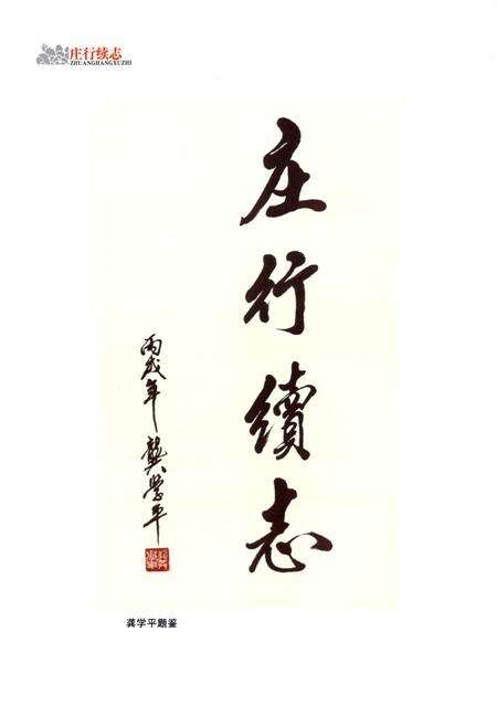 《庄行续志(1985-2003)》.pdf电子版_上海市志预览图2