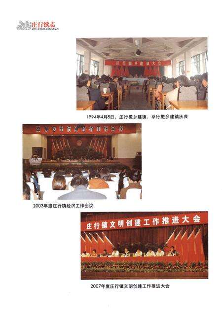 《庄行续志(1985-2003)》.pdf电子版_上海市志预览图5