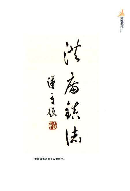 《洪庙镇志》.pdf电子版_上海市志预览图2